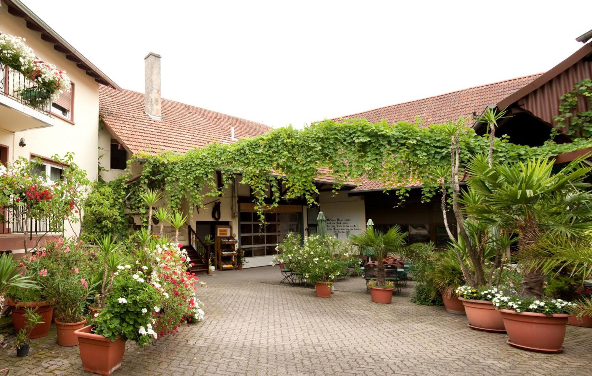 Weingut Und Gaestehaus Vongerichten Oberhausen  Exteriör bild